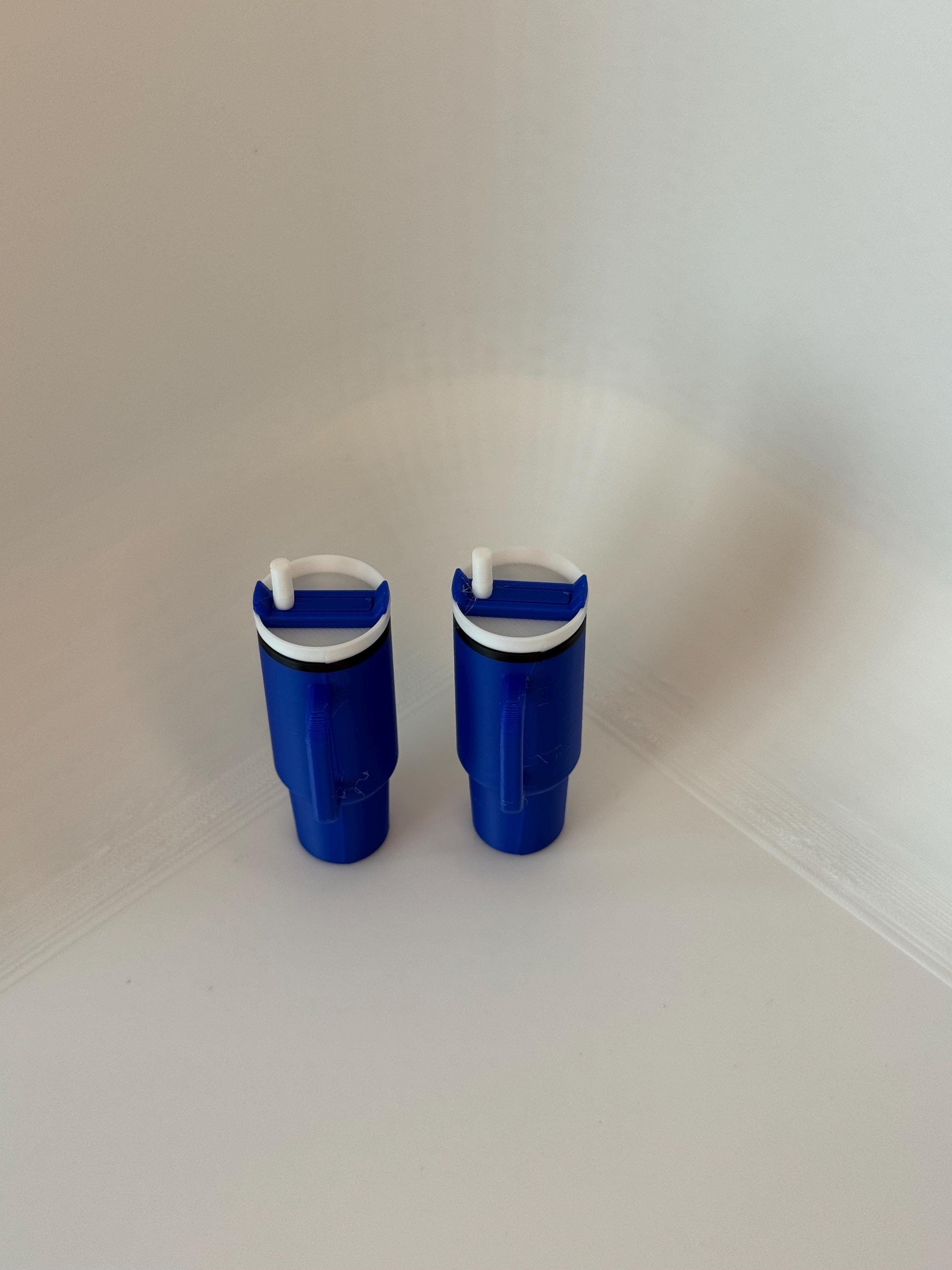 Tiny Tumbler Keychain