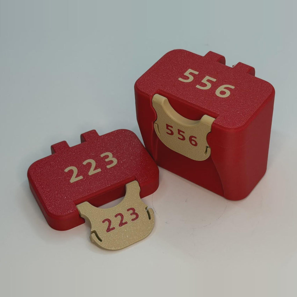 5.56/.223 ammo box, 10 round BoxLoc case